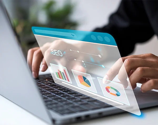 SEO PACKAGES SEO PACKAGES