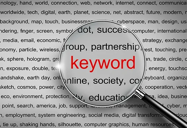 How Meta Tags and Keywords Drive Organic Growth in Our Packages