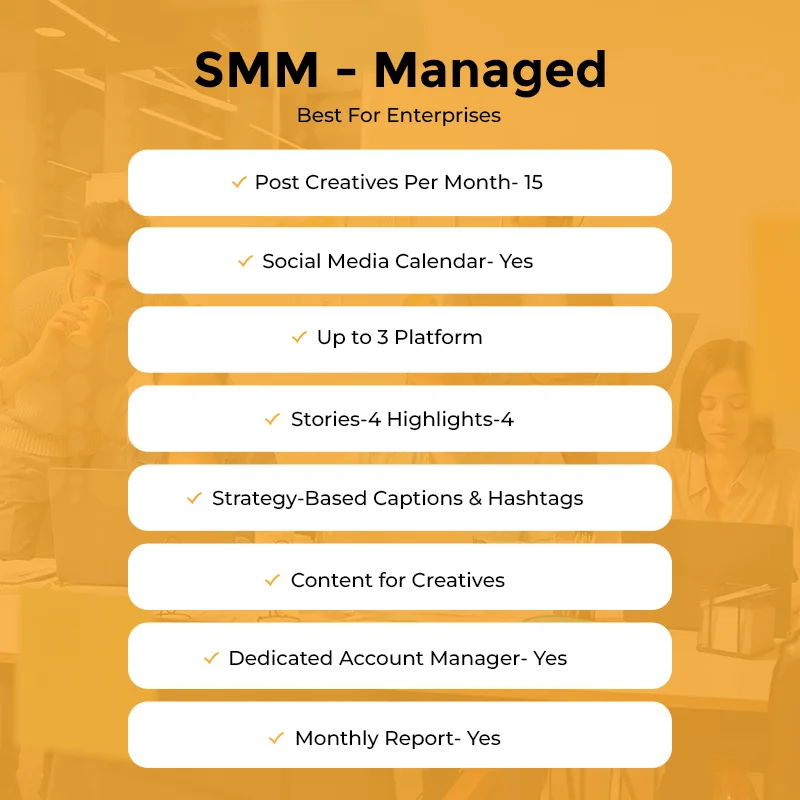 SMM Managed Yearly Package - Image 2